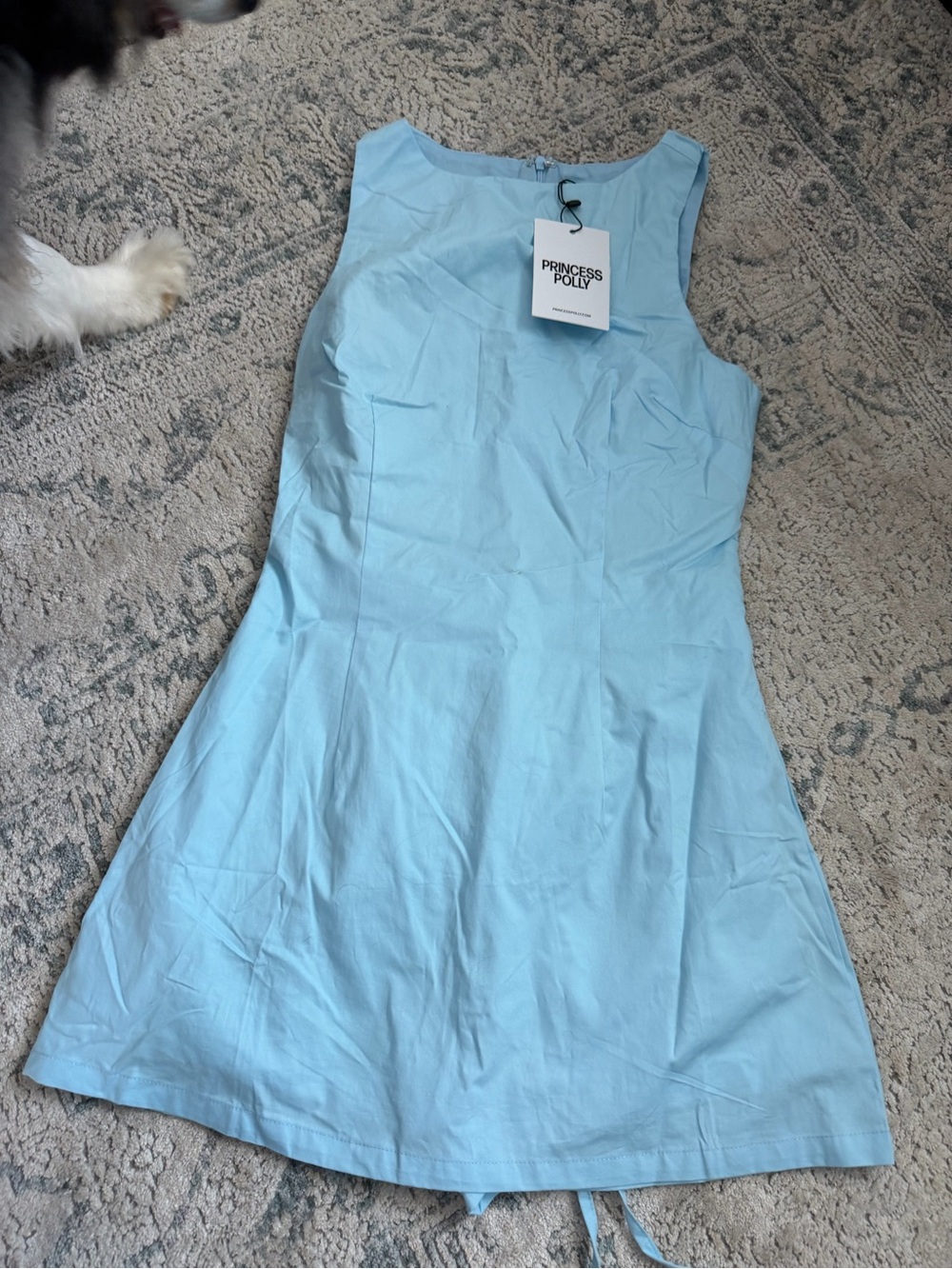 Princess Polly Baby Blue Sleeveless Fit-and-Flare Mini Dress